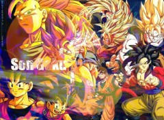 Fonds d'cran Manga SAN GOKU