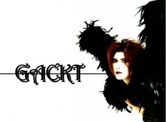 Wallpapers Music Gackt!!!