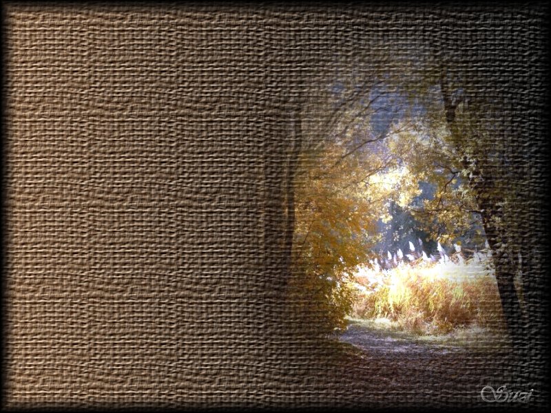 Wallpapers Digital Art Abstract Joncs d'automne