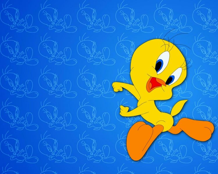 Fonds d'cran Dessins Anims Titi et Gros Minet Tweety