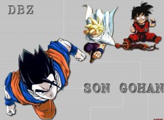 Fonds d'cran Manga dbz-gohan