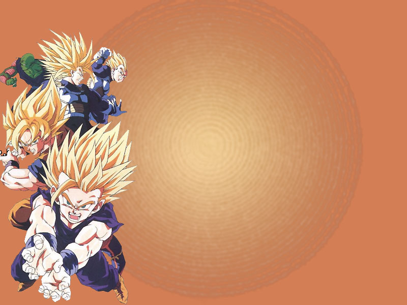 Fonds d'cran Manga Dragon Ball Z 