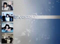 Fonds d'cran Musique EVANESCENCE