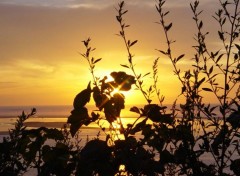 Fonds d'cran Nature Coucher de soleil atlantique