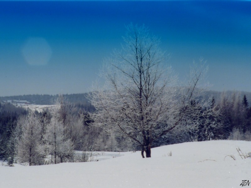 Fonds d'cran Nature Saisons - Hiver campagnegivre  St-Mthode