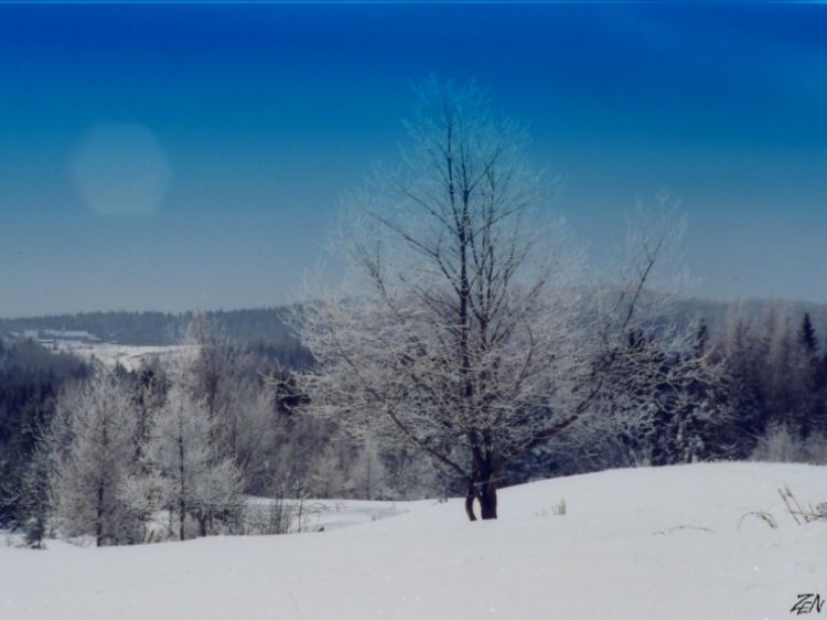 Wallpapers Nature Saisons - Winter campagnegivre  St-Mthode