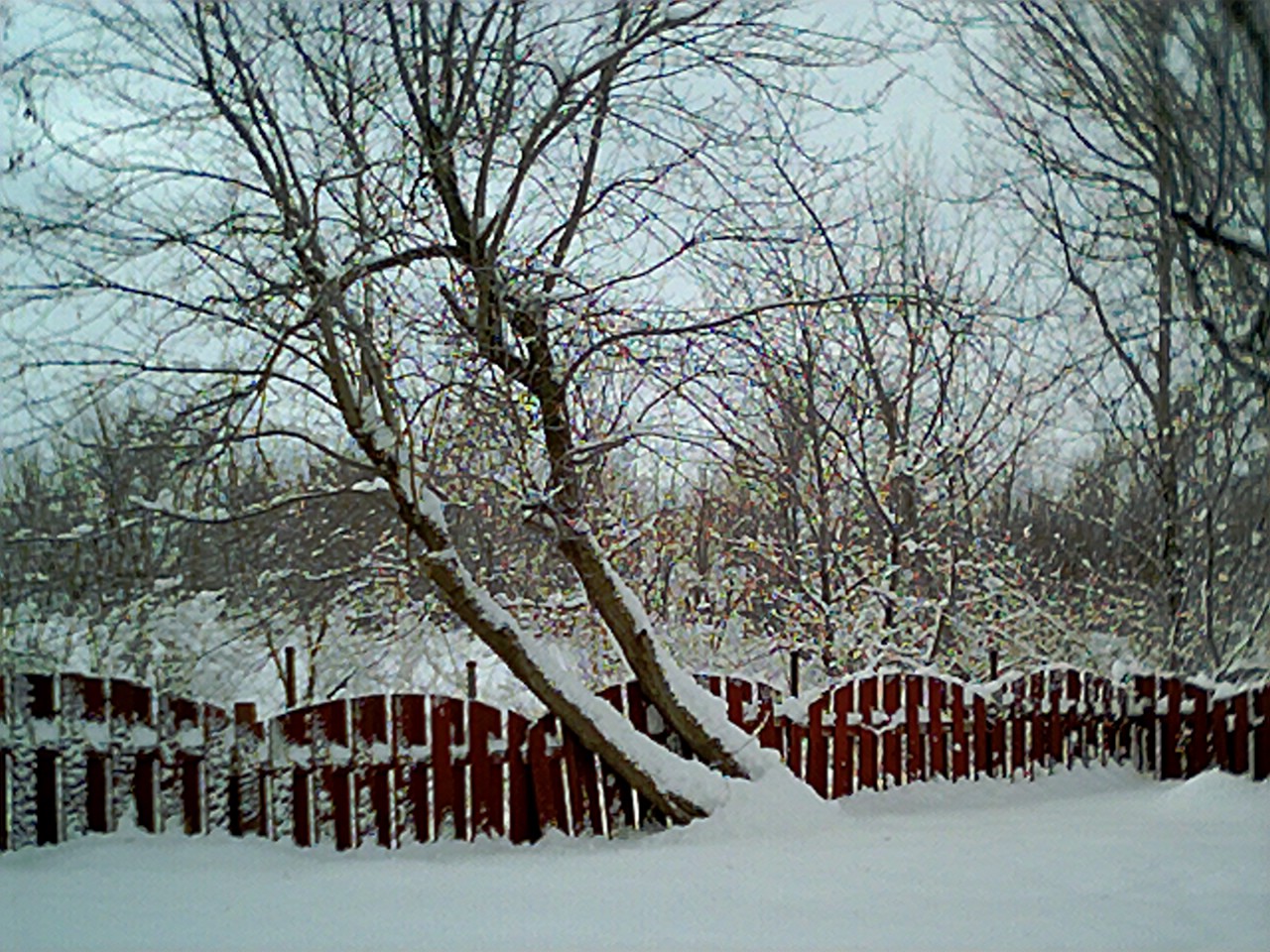 Fonds d'cran Nature Campagne L'Hiver