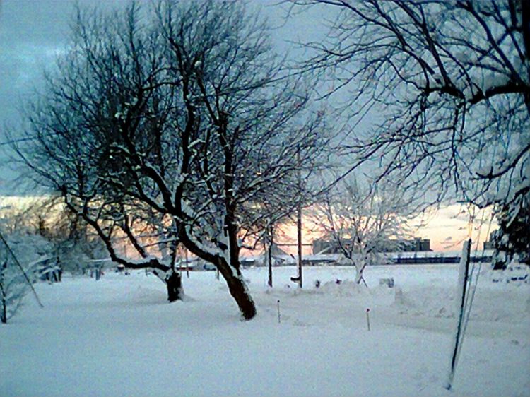 Fonds d'cran Nature Saisons - Hiver Vive l'Hiver