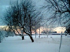 Fonds d'cran Nature Vive l'Hiver