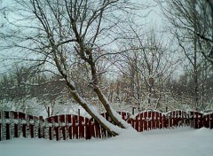 Fonds d'cran Nature L'Hiver