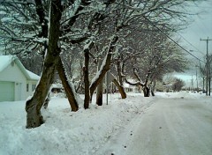 Wallpapers Nature Chemin de Campagne