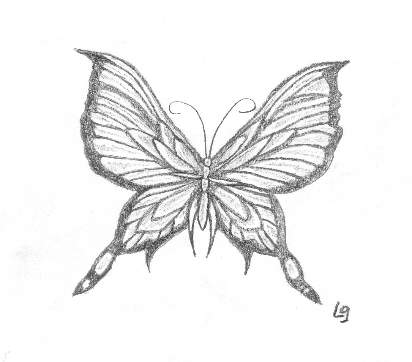 Wallpapers Art - Pencil Animals - Miscellaneous papillon