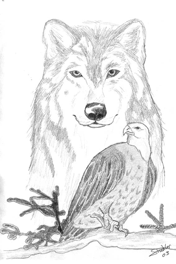 Fonds d'cran Art - Crayon Animaux - Divers Aigle et loup