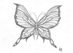 Fonds d'cran Art - Crayon papillon