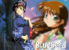 Fonds d'cran Manga Blueseed