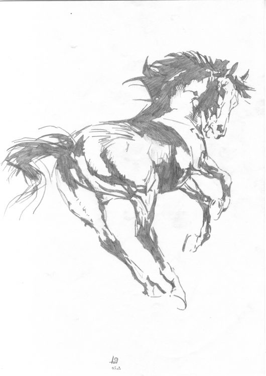 Wallpapers Art - Pencil Animals - Horses Cheval