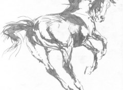 Wallpapers Art - Pencil Cheval