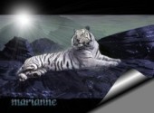 Wallpapers Animals No name picture N9520