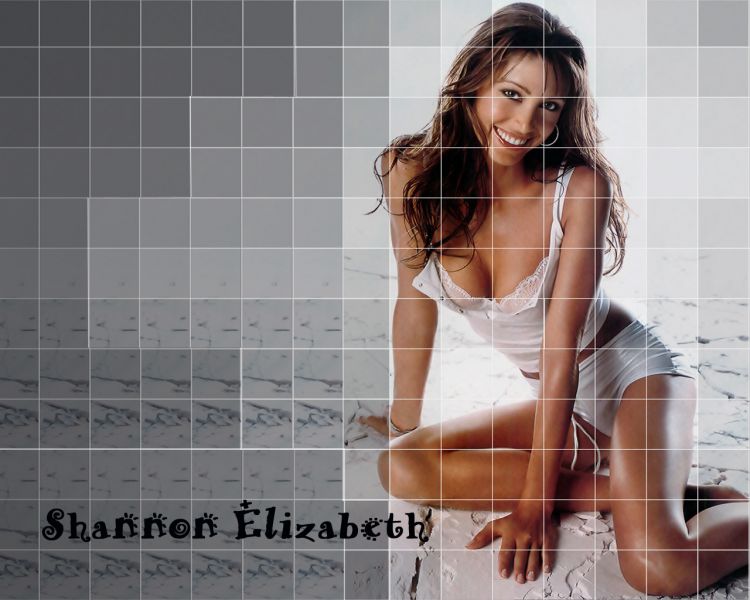 Wallpapers Celebrities Women Shannon Elizabeth Shannon Elizabeth