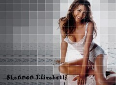 Fonds d'cran Clbrits Femme Shannon Elizabeth