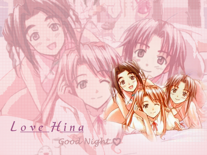 Fonds d'cran Manga Love Hina Good Night !