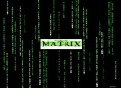 Wallpapers Movies the matrix is all around us