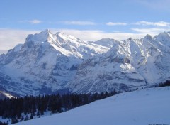 Fonds d'cran Nature Grindelwald (Suisse)