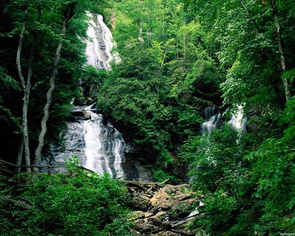 Fonds d'cran Nature Plantes - Arbustes Fort et cascade