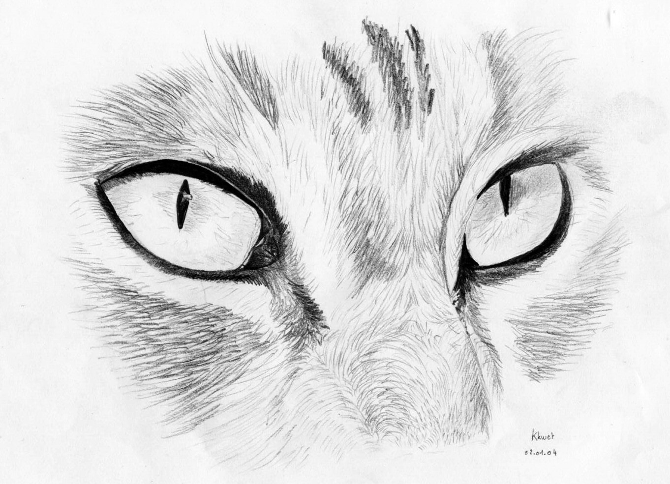 Fonds d'cran Art - Crayon Animaux - Chats Regard felin