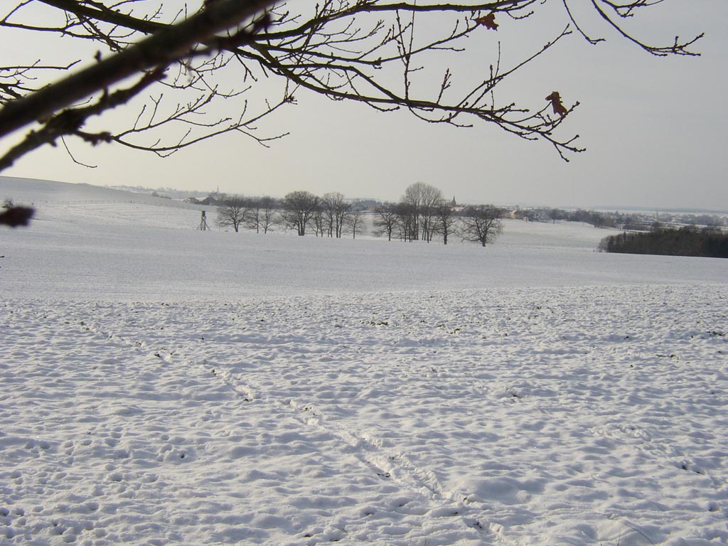 Wallpapers Nature Saisons - Winter lorraine enneige