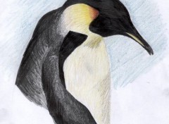 Wallpapers Art - Pencil Pinguin