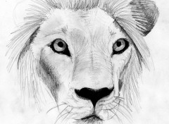 Wallpapers Art - Pencil Lion