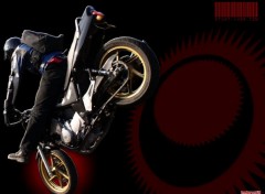 Fonds d'cran Motos Albatros By Nox