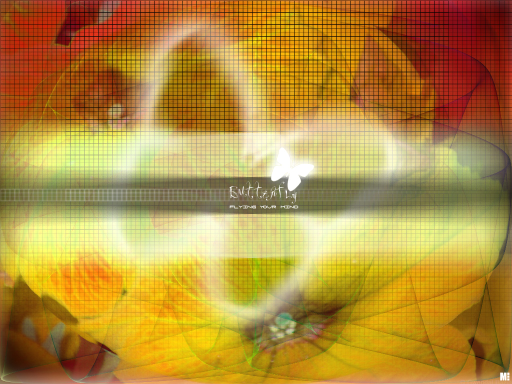 Wallpapers Digital Art Compositions 2D M - 2004 - Butterfly yellow edition