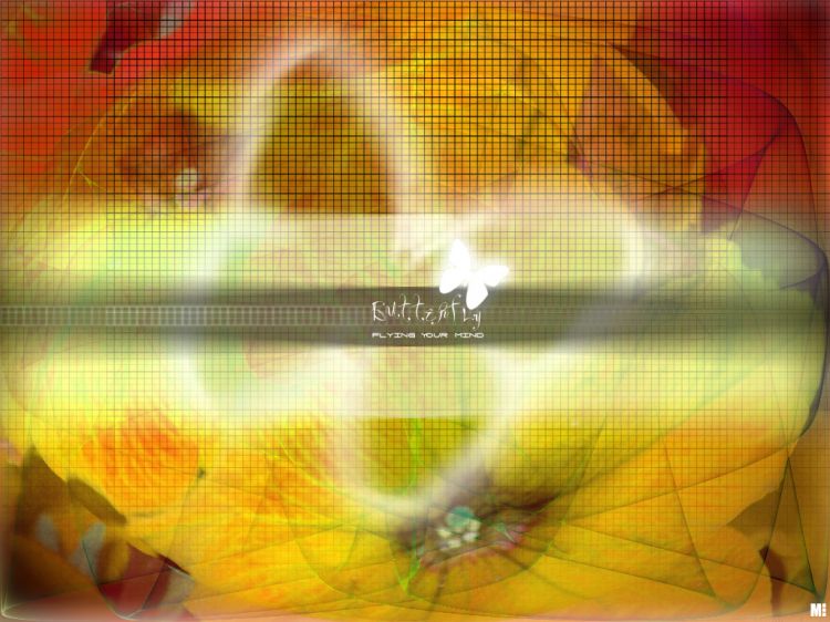 Wallpapers Digital Art Compositions 2D M - 2004 - Butterfly yellow edition