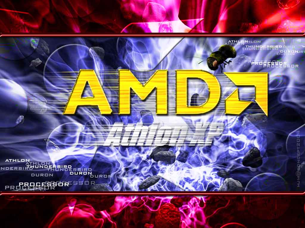 Fonds d'cran Informatique Amd  bas les Pentium! Viva AMD processor