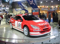 Wallpapers Cars Peugeot 307 CC WRC - Salon de Lyon 2003