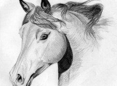 Wallpapers Art - Pencil Un autre cheval