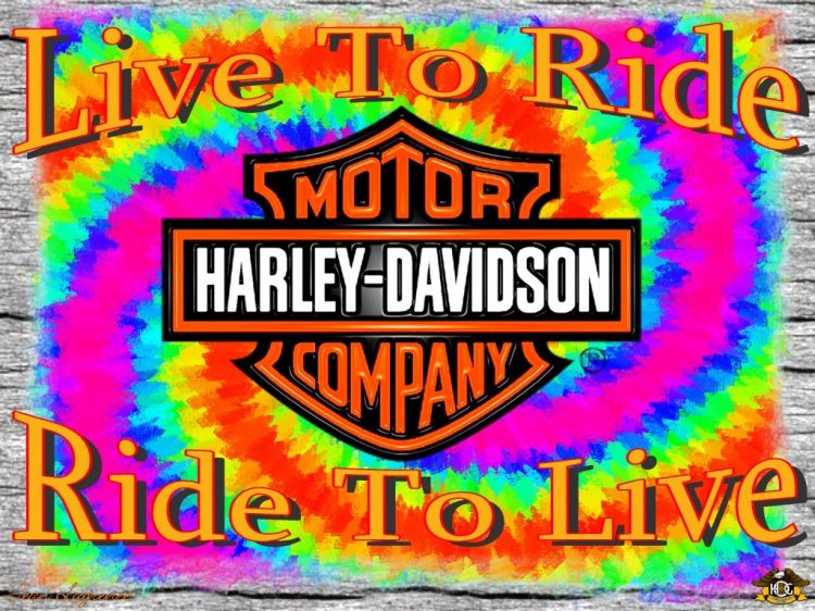 Fonds d'cran Motos Harley Davidson Live to Ride