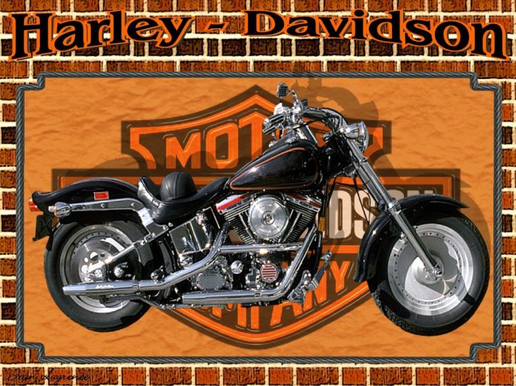 Wallpapers Motorbikes Harley Davidson Softail Custom