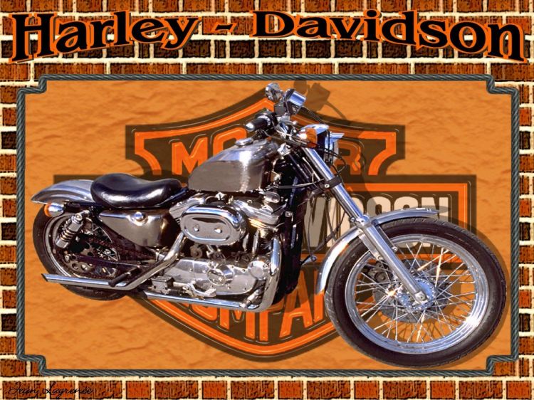 Wallpapers Motorbikes Harley Davidson Sporster