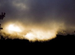 Fonds d'cran Nature brume