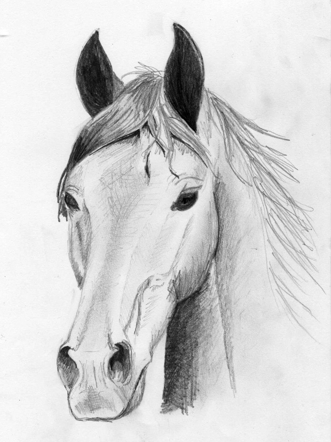 Fonds d'cran Art - Crayon Animaux - Chevaux Cheval