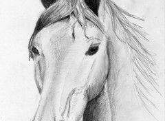 Wallpapers Art - Pencil Cheval