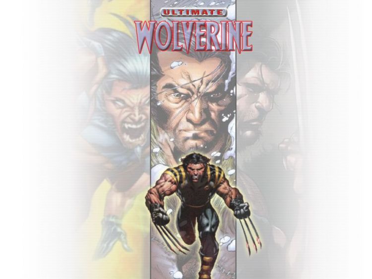 Fonds d'cran Comics et BDs Wolverine Red's Wallpaper of Wolverine 01