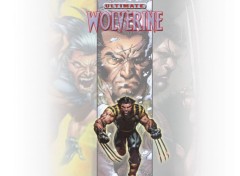 Wallpapers Comics Red's Wallpaper of Wolverine 01