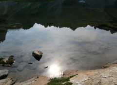 Wallpapers Nature Reflet dans le plan d'eau du refuge du Bresson (S