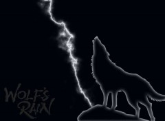 Fonds d'cran Manga wolfs rain