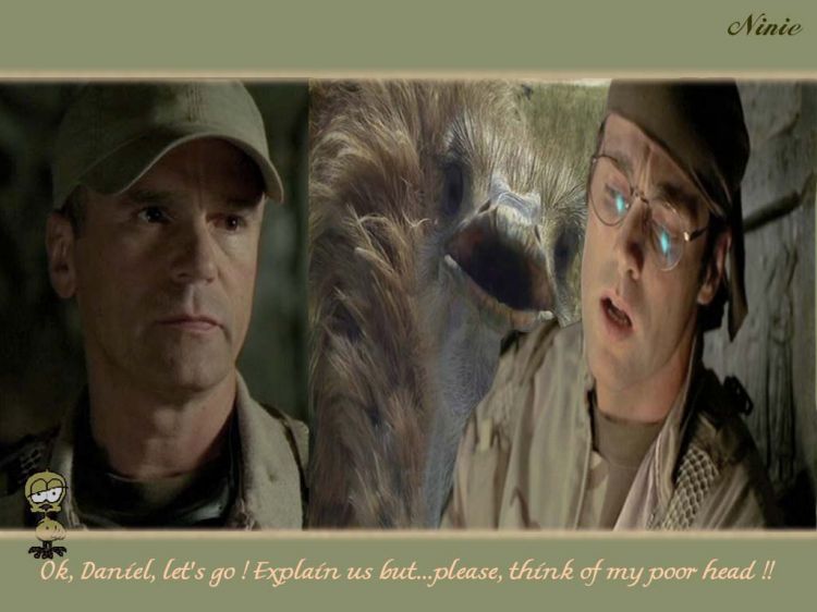 Fonds d'cran Sries TV Stargate Wallpaper N1859