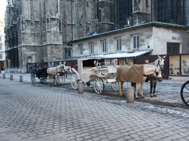 Wallpapers Trips : Europ Austria Vienne pied de la cathedrale